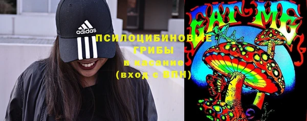 стаф Нягань