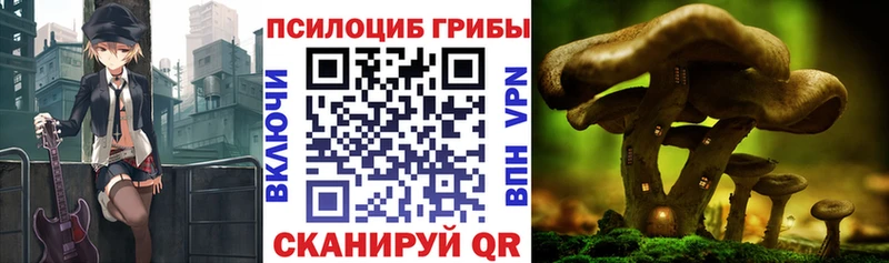 Галлюциногенные грибы MAGIC MUSHROOMS  купить наркоту  Сафоново 