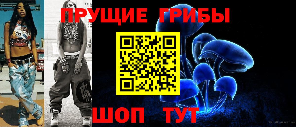 Псилоцибиновые грибы Cubensis Сафоново