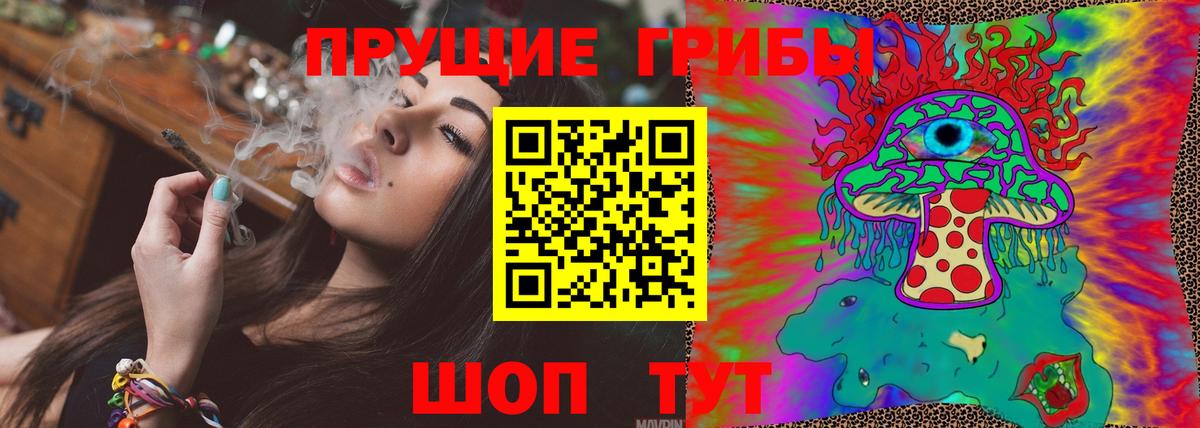 Псилоцибиновые грибы GOLDEN TEACHER  Вход с VPN  Псилоцибиновые грибы GOLDEN TEACHER  Сафоново 